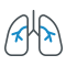 Division of Pulmonology Image