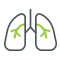 Pediatric Allergy and Respiratory Disease Image