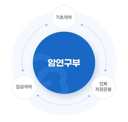 암관련 기초 및 이행성 연구 이미지입니다. 자세한 내용은 하단을 참고해주세요.