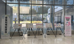 국가단위 암 관련 캠페인(유방암 예방 핑크리본 캠페인) 이미지