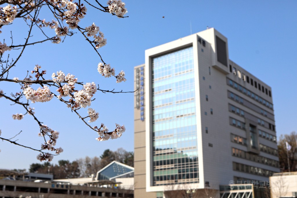 충북대학교병원 봄