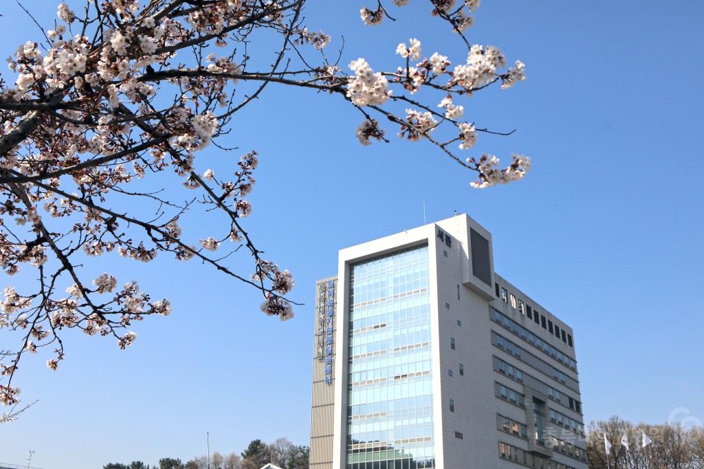 충북대학교병원 봄