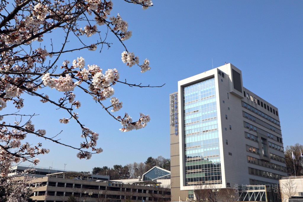 충북대학교병원 봄