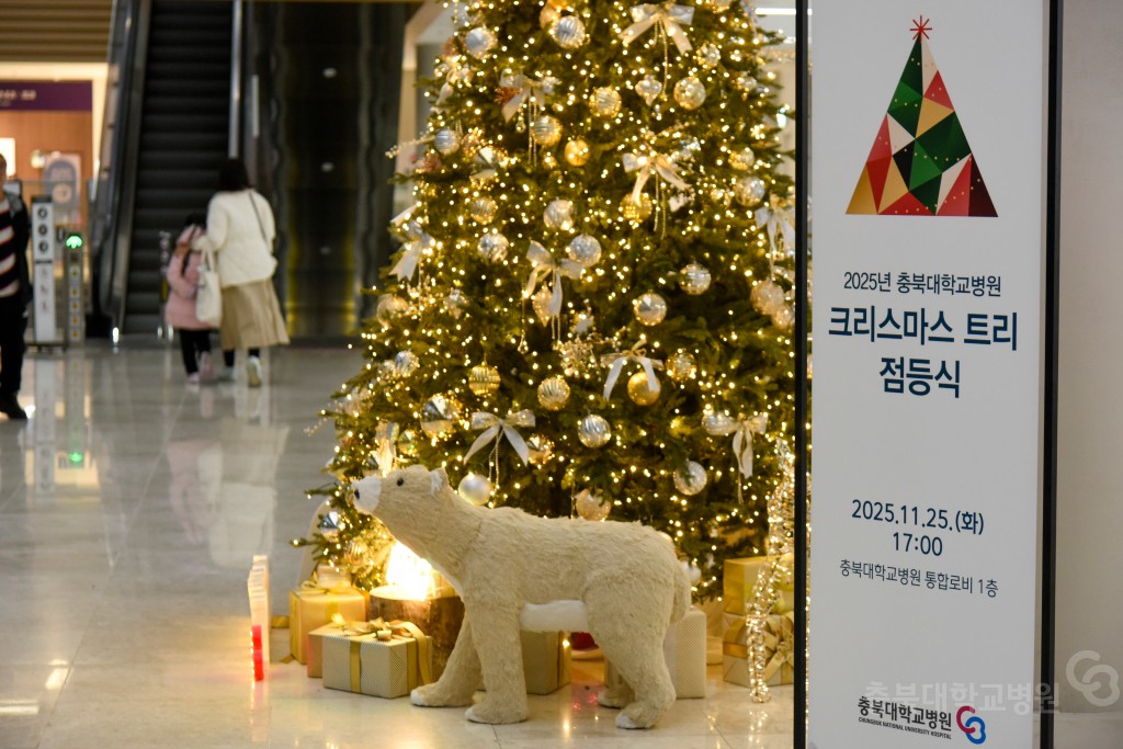 크리스마스 트리 점등식