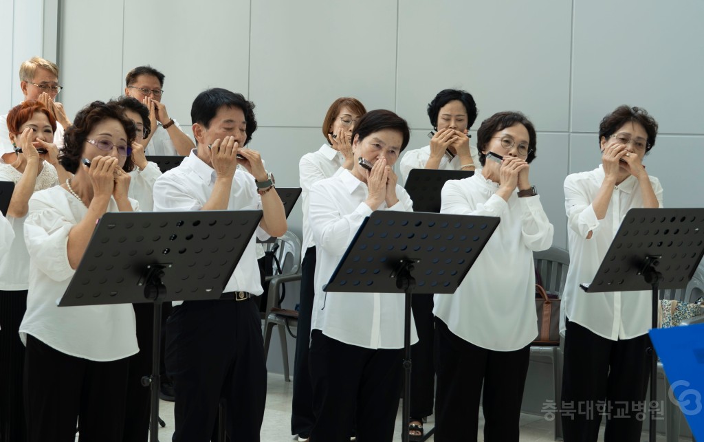 오후의 멜로디