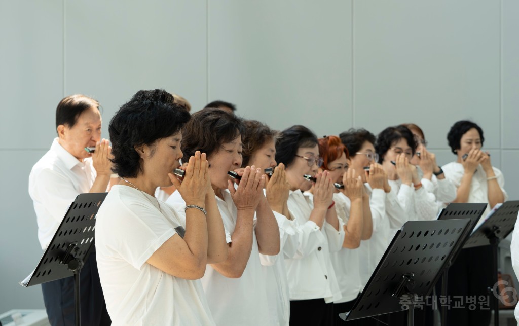 오후의 멜로디