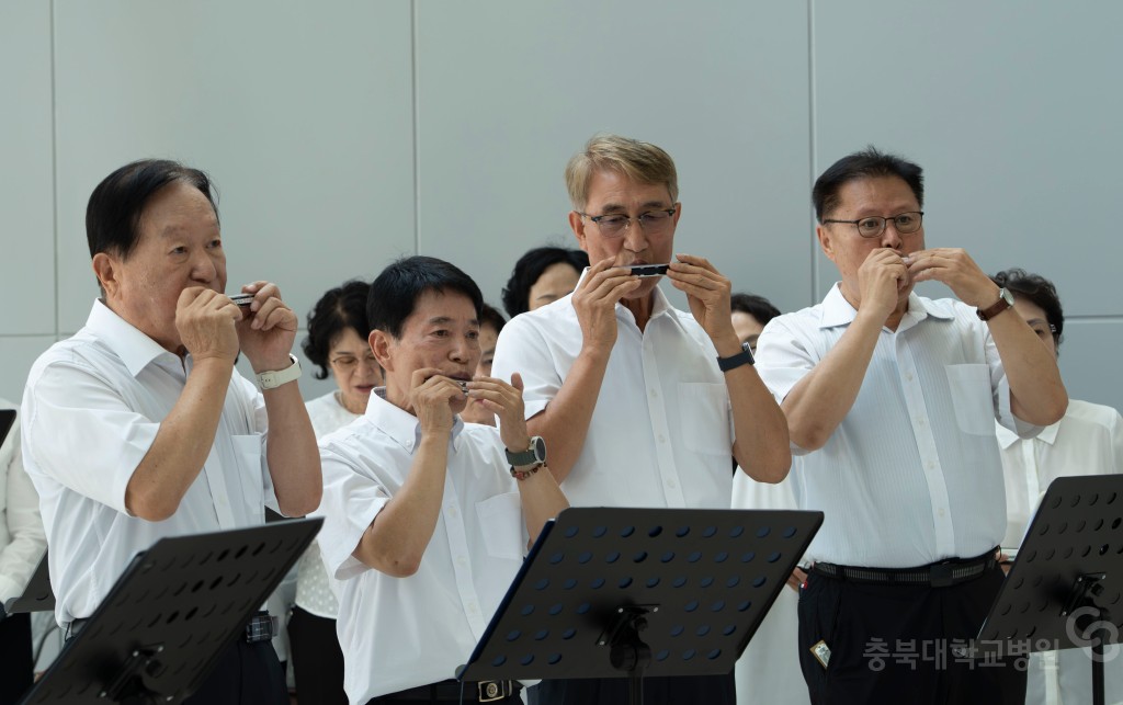오후의 멜로디
