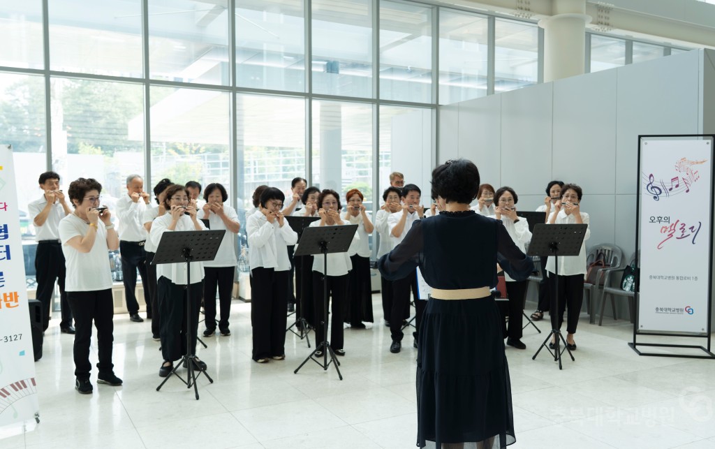 오후의 멜로디