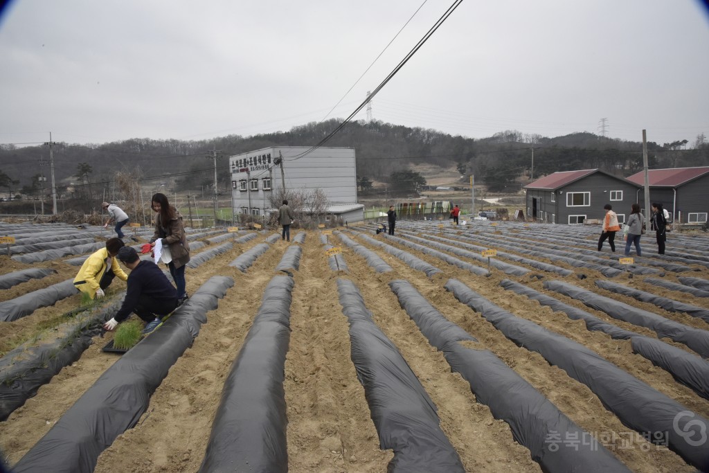 주말농장 개장식