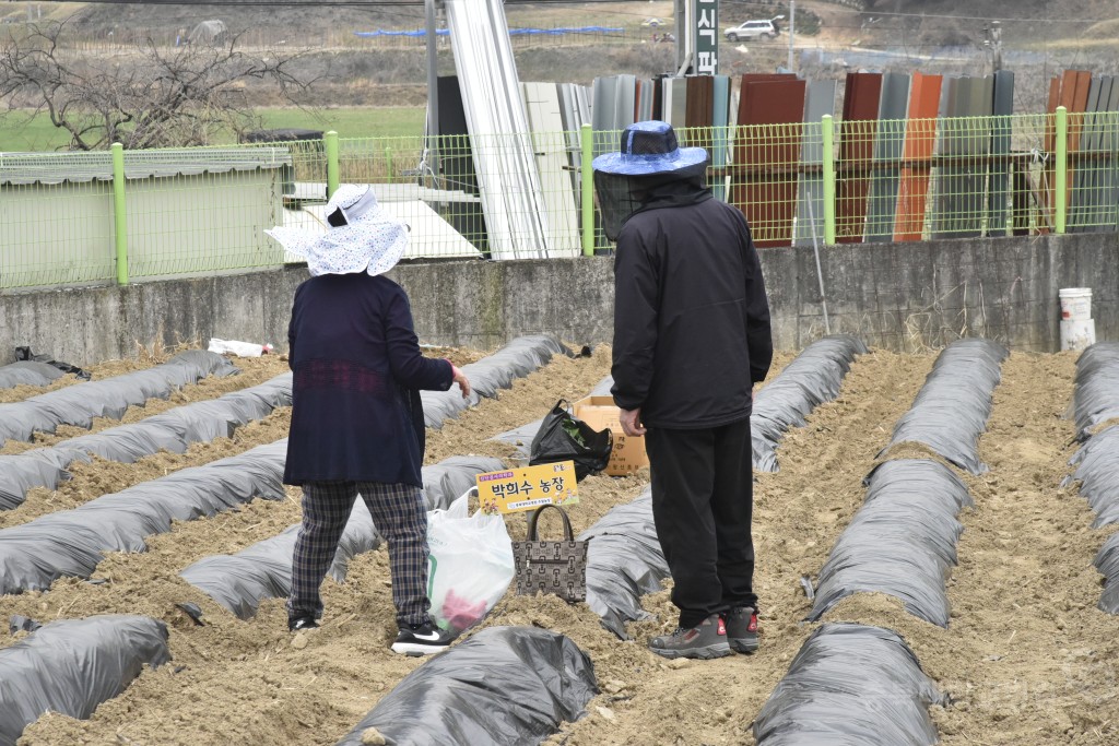 주말농장 개장식