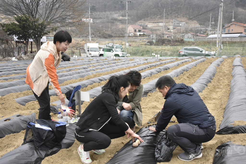 주말농장 개장식