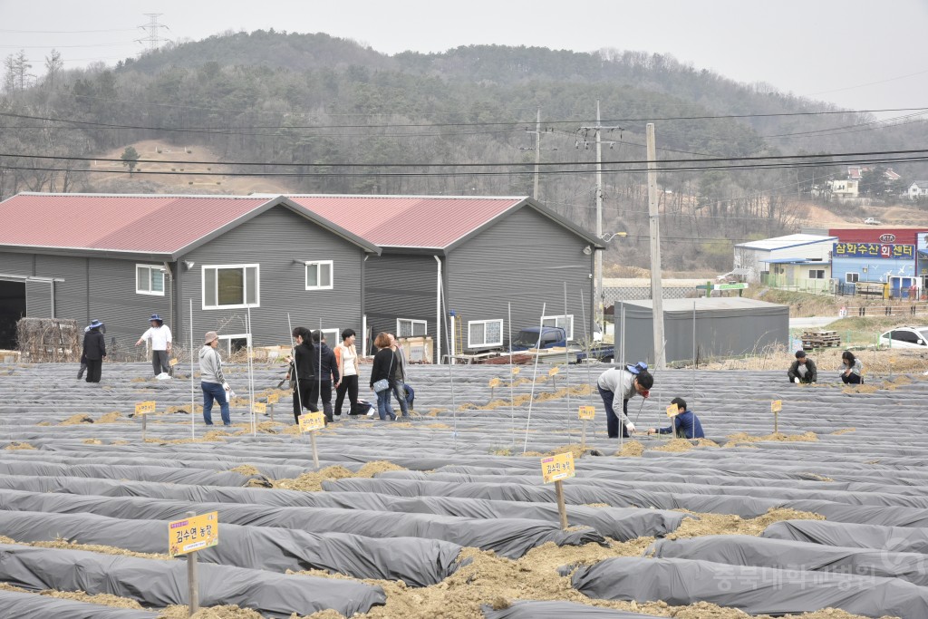 주말농장 개장식