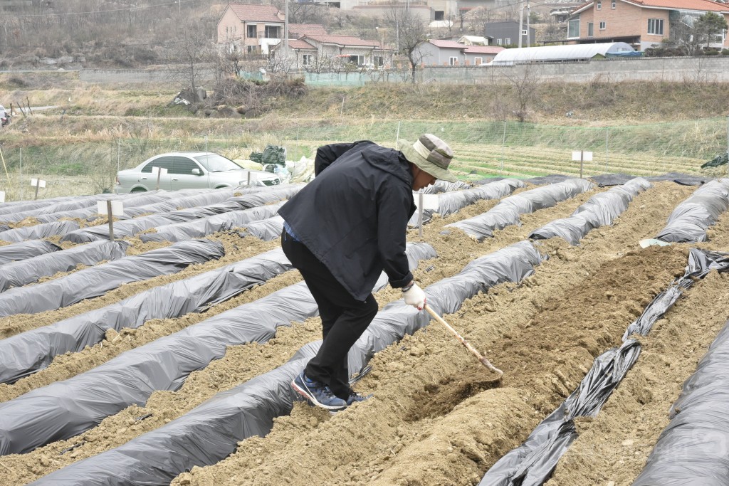 주말농장 개장식