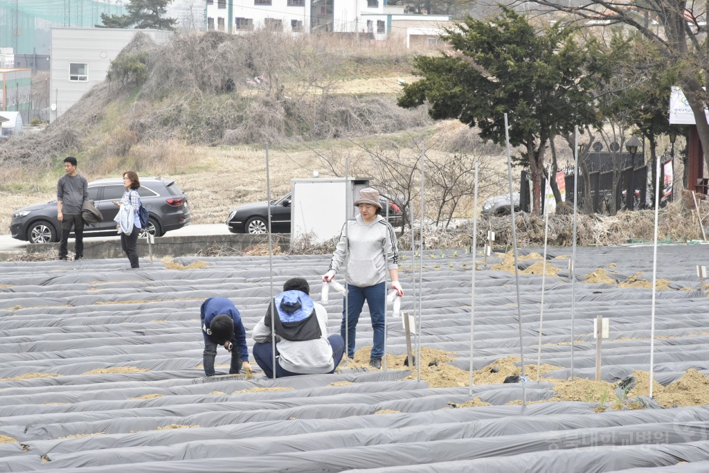 주말농장 개장식