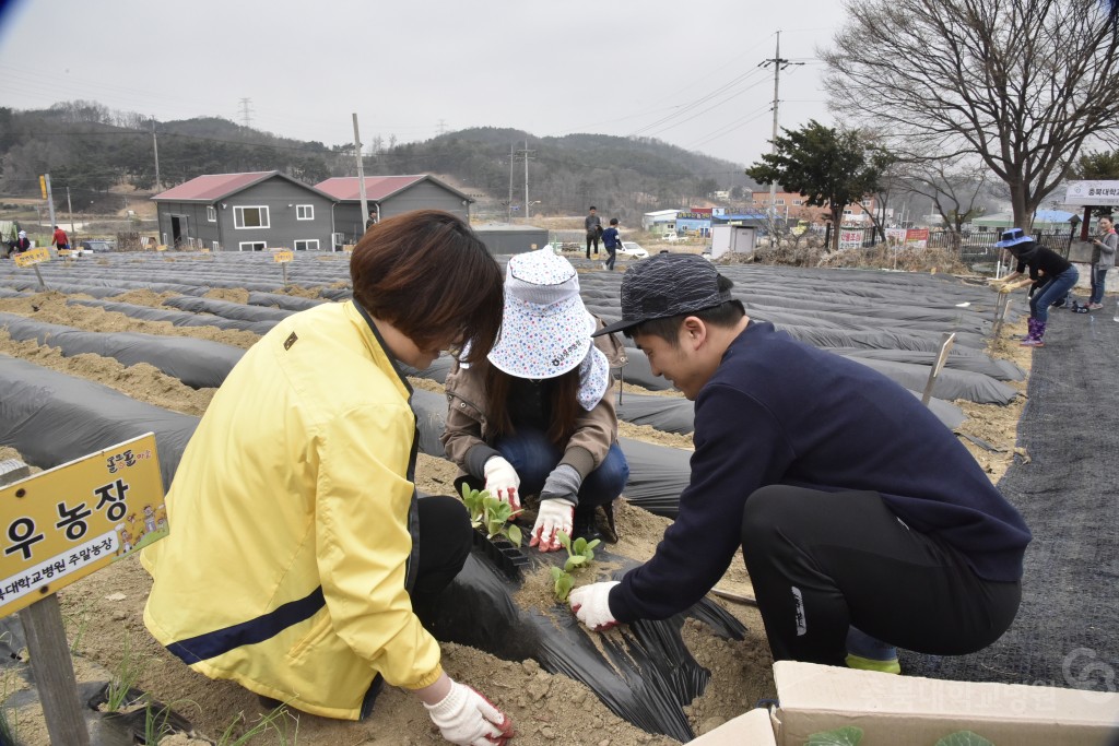 주말농장 개장식