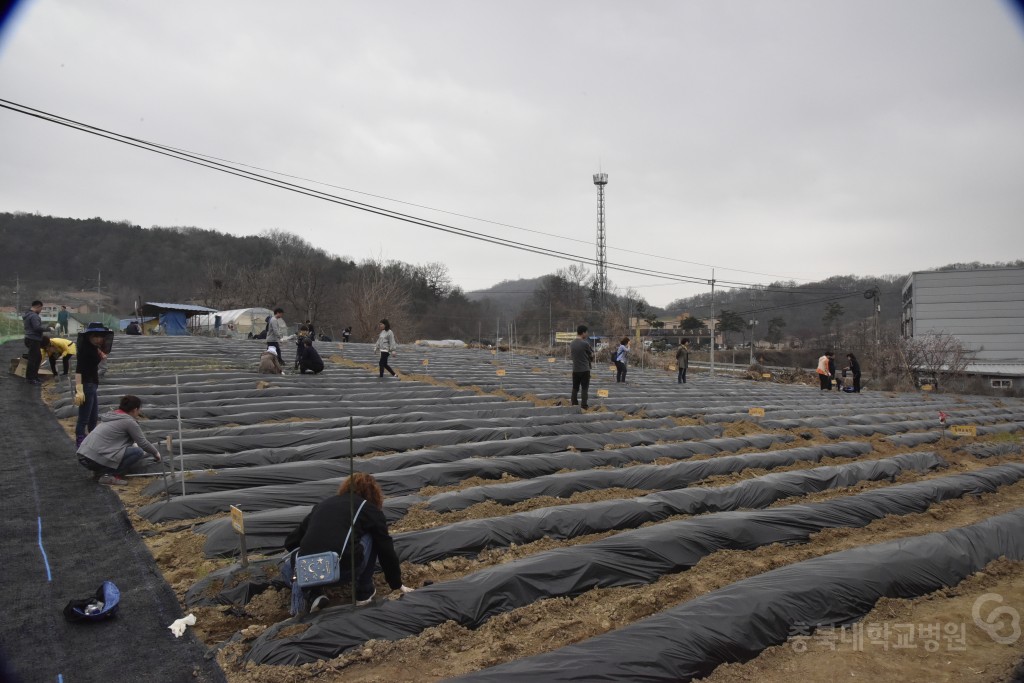 주말농장 개장식