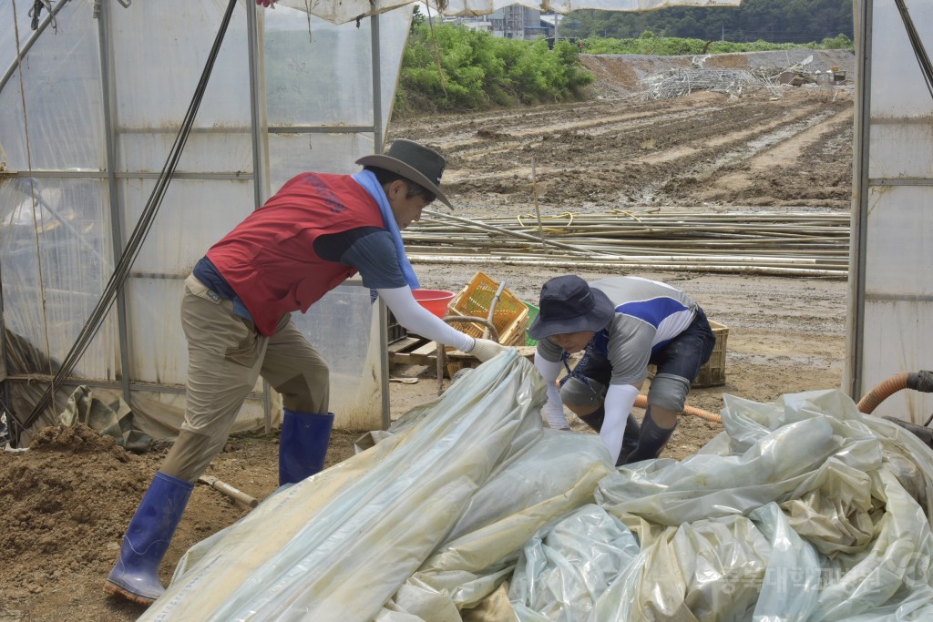 수해복구 봉사활동