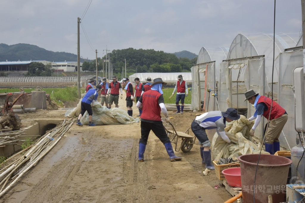 수해복구 봉사활동