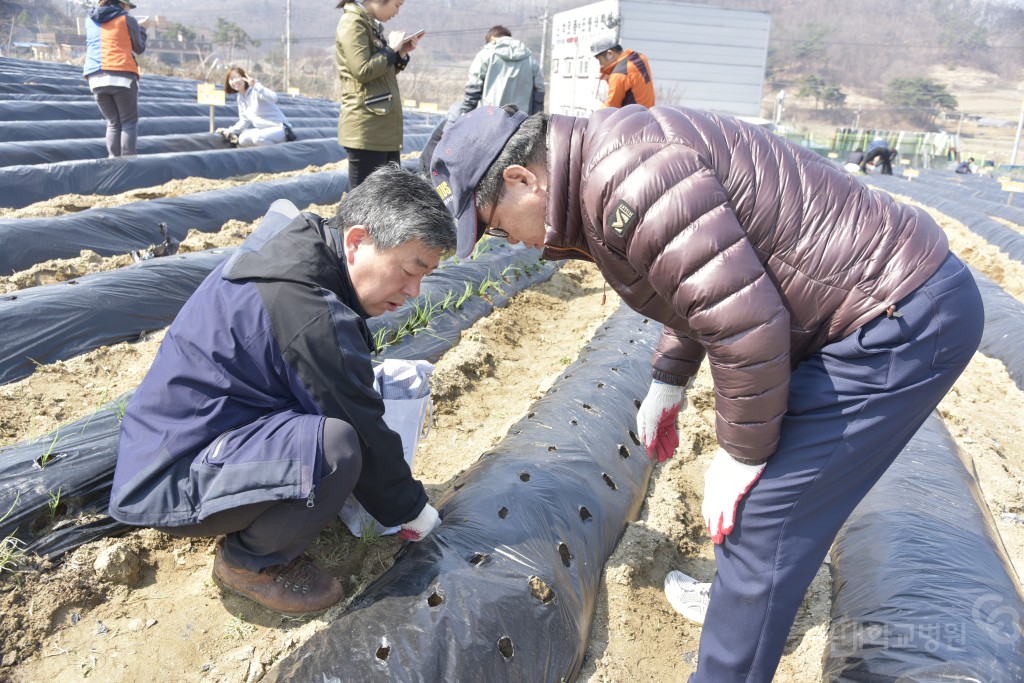 주말농장 개장식(돌로돌마을)