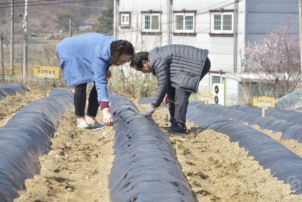 주말농장 개장식(돌로돌마을)