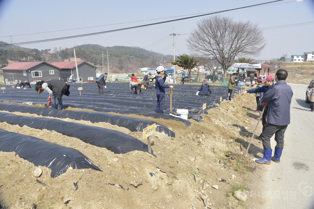 주말농장 개장식(돌로돌마을)