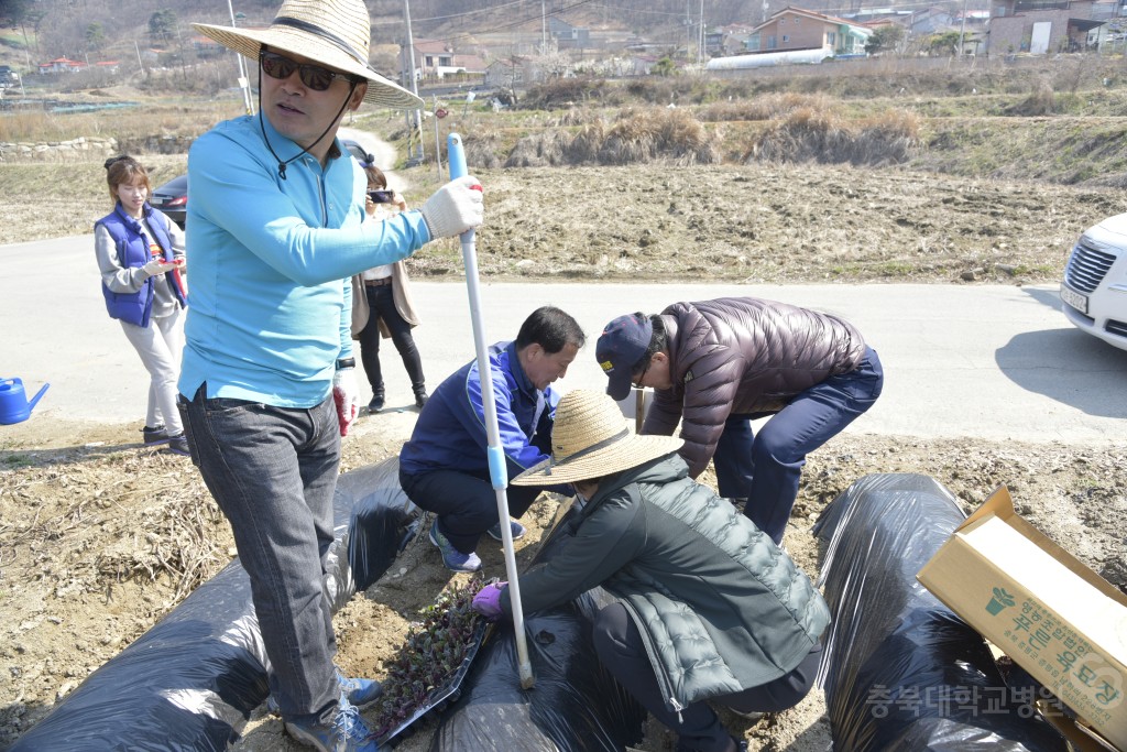 주말농장 개장식(돌로돌마을)