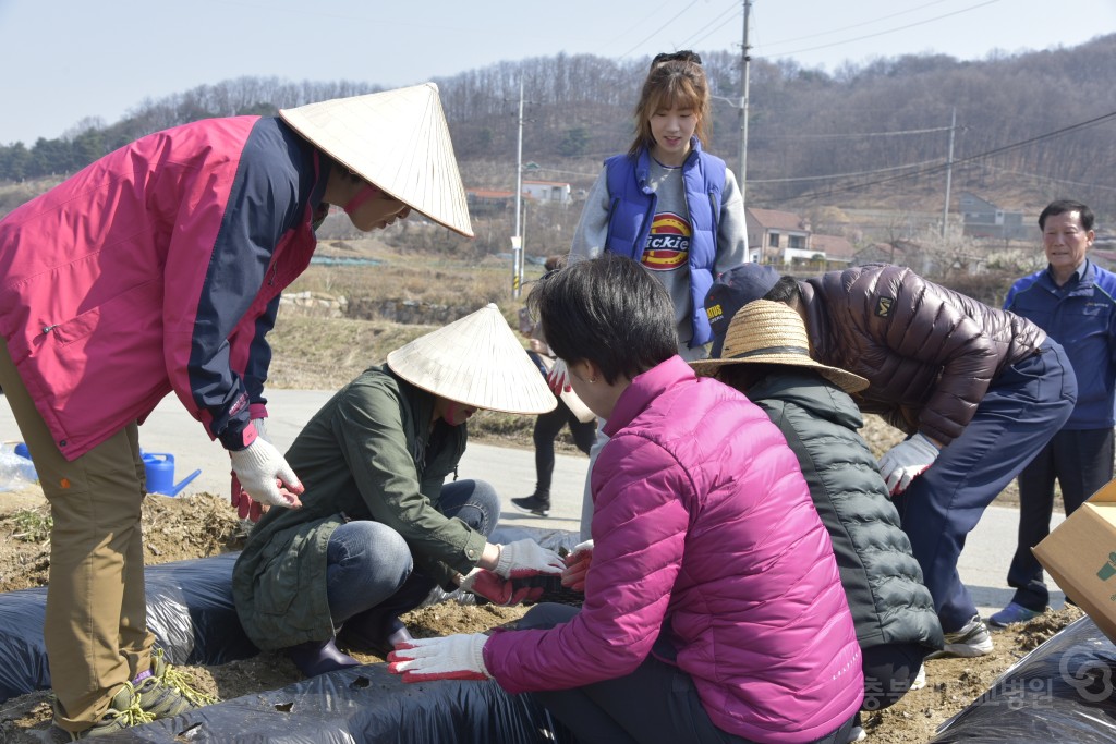 주말농장 개장식(돌로돌마을)