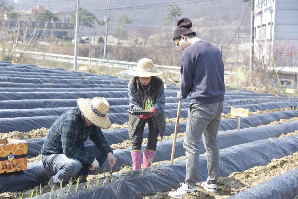 주말농장 개장식(돌로돌마을)