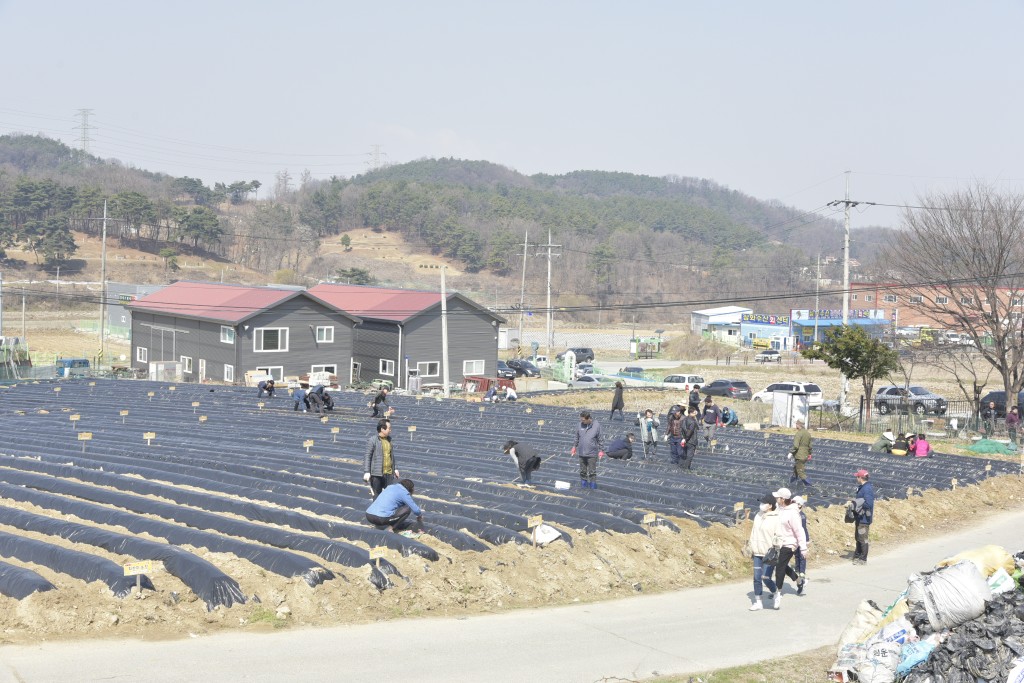 주말농장 개장식(돌로돌마을)