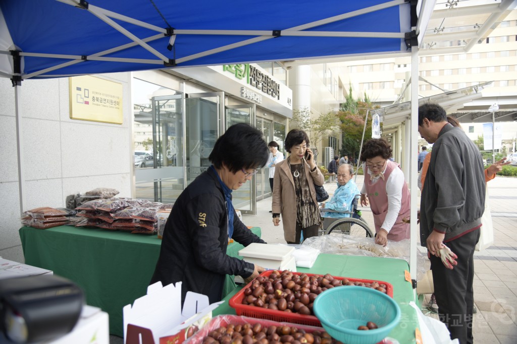 보은대추 판매