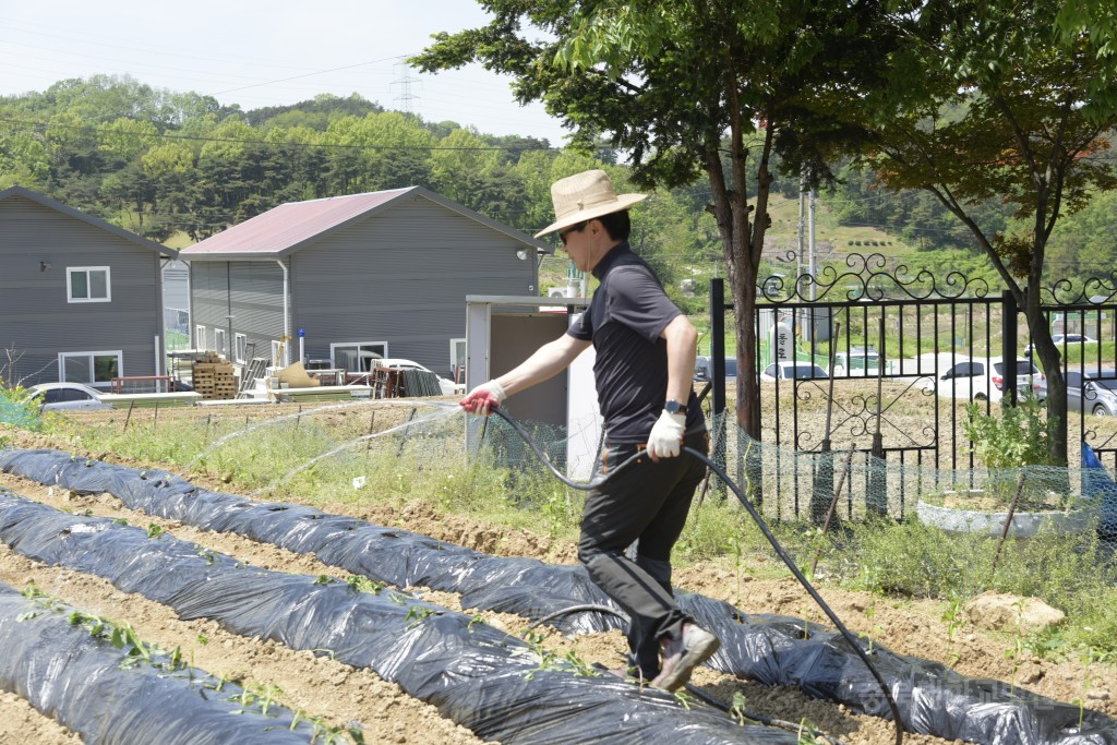 1사1촌 자매결연(돌로돌마을)