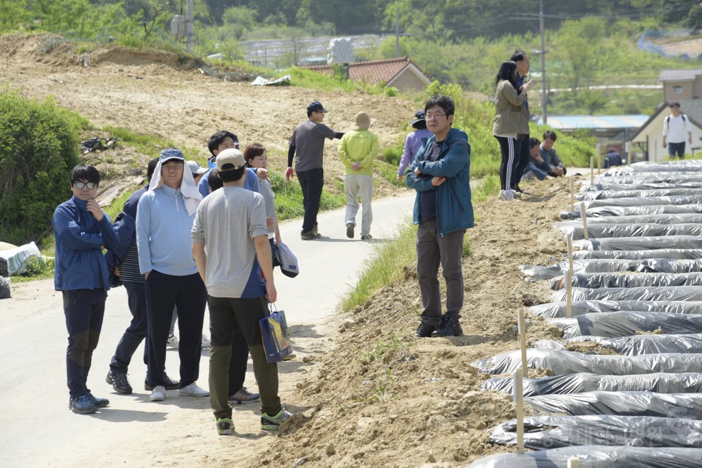 1사1촌 자매결연(돌로돌마을)