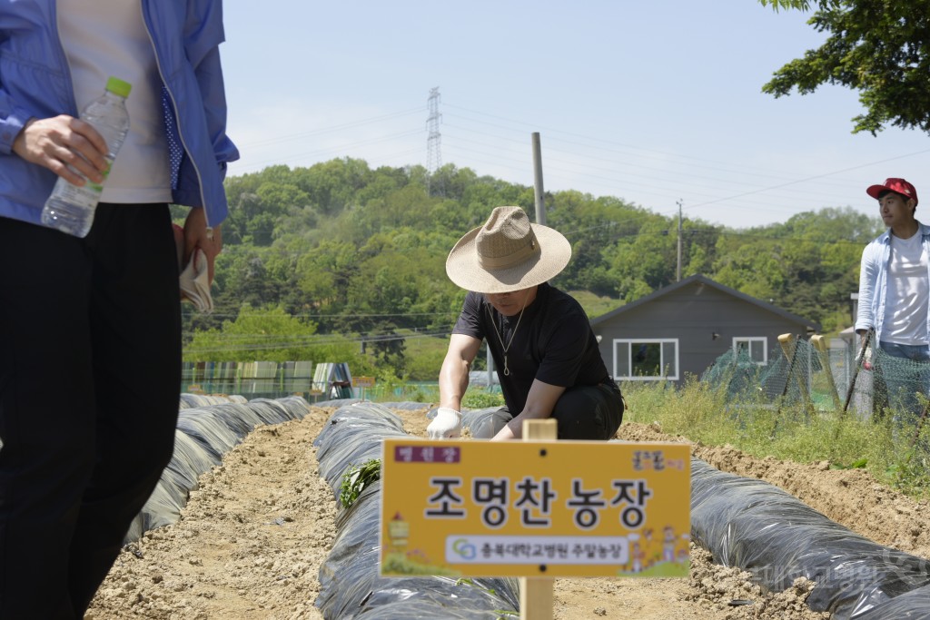 1사1촌 자매결연(돌로돌마을)