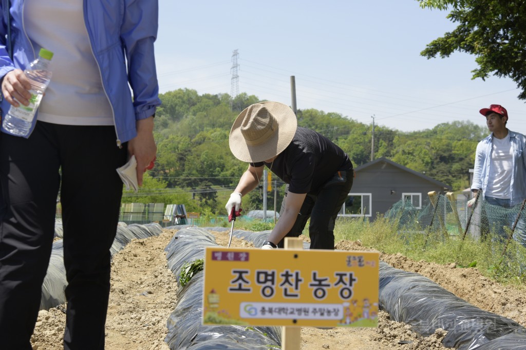 1사1촌 자매결연(돌로돌마을)