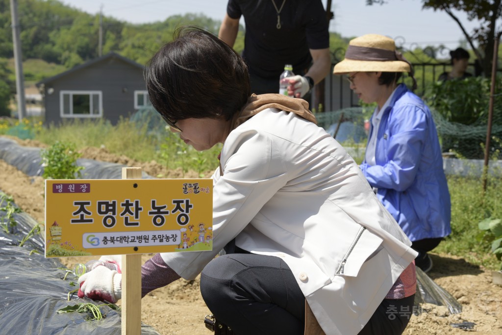 1사1촌 자매결연(돌로돌마을)