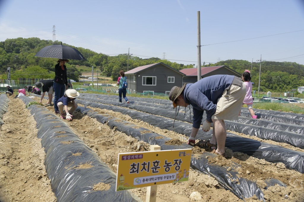 1사1촌 자매결연(돌로돌마을)