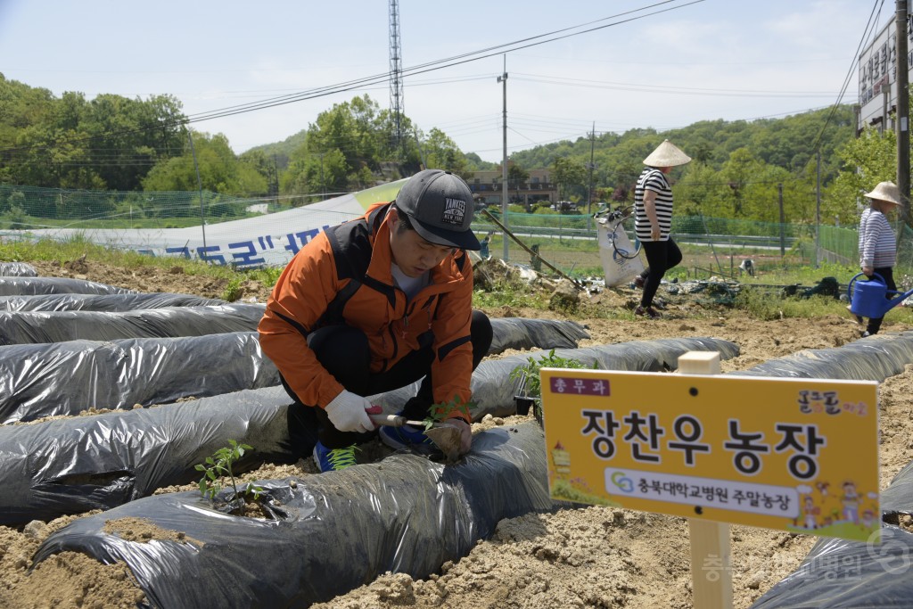 1사1촌 자매결연(돌로돌마을)