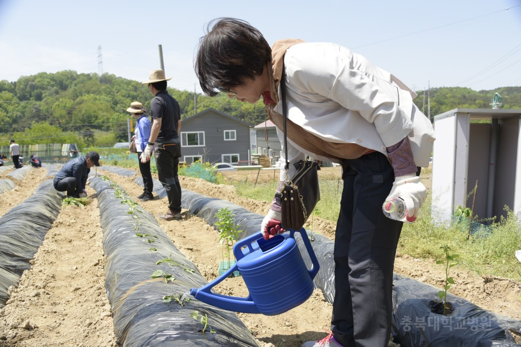 1사1촌 자매결연(돌로돌마을)