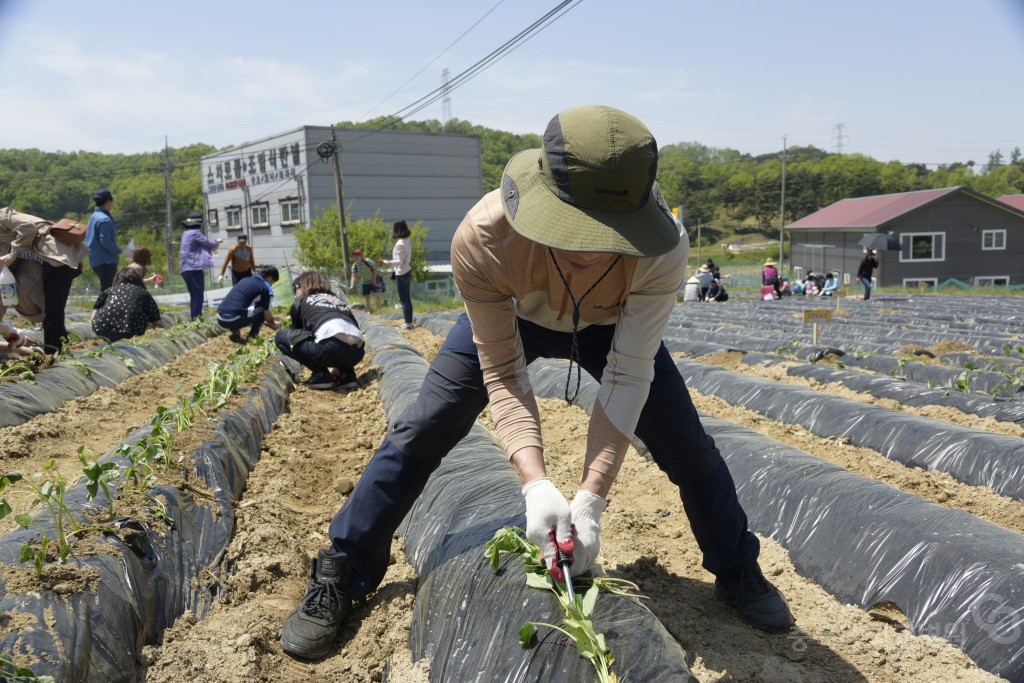 1사1촌 자매결연(돌로돌마을)