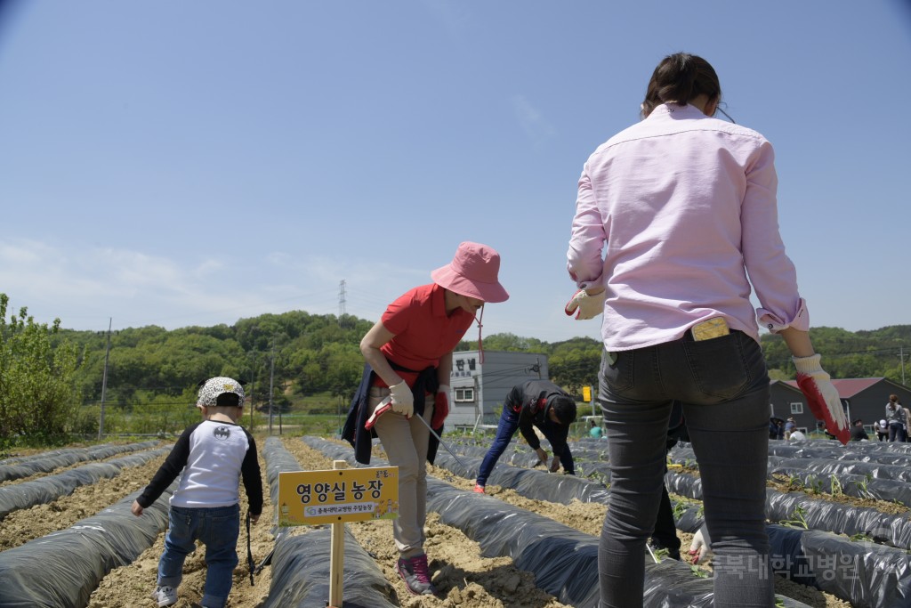 1사1촌 자매결연(돌로돌마을)