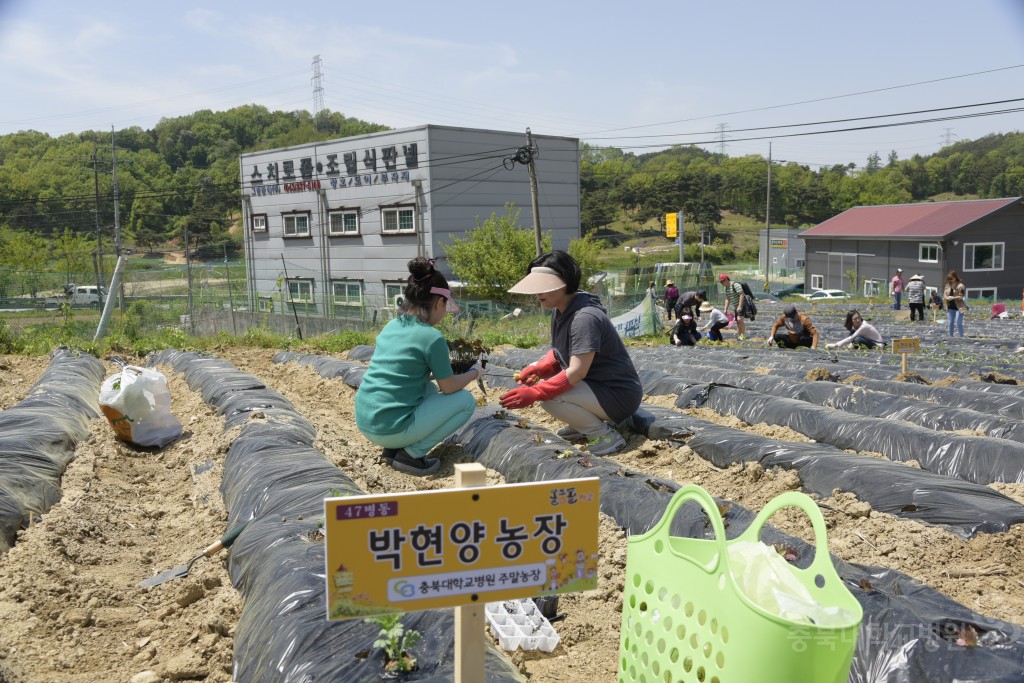 1사1촌 자매결연(돌로돌마을)