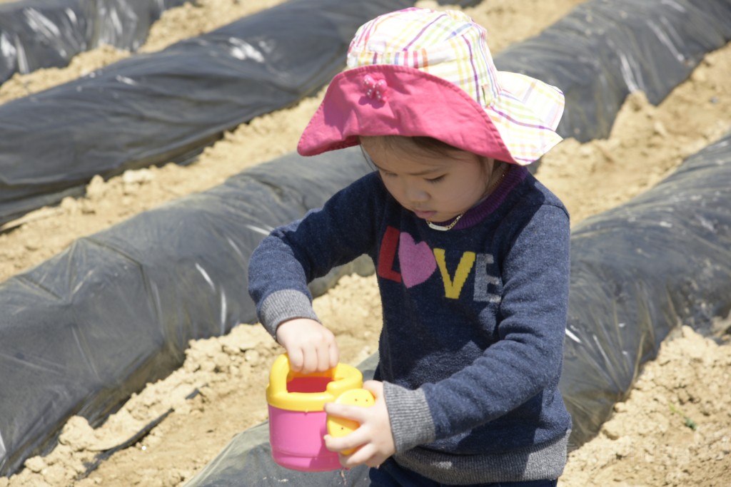 1사1촌 자매결연(돌로돌마을)