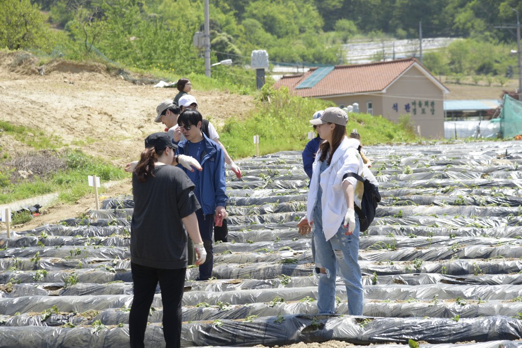 1사1촌 자매결연(돌로돌마을)