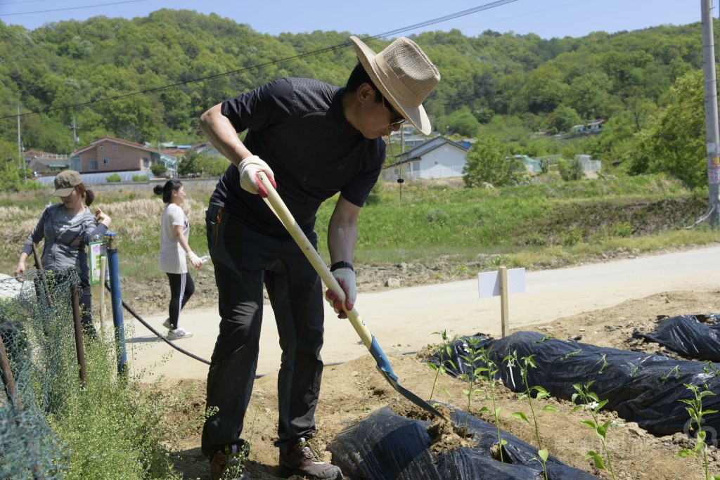 1사1촌 자매결연(돌로돌마을)